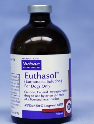 Buy Euthasol Online